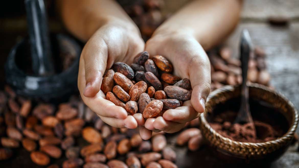 Сортиране на какаови зърна